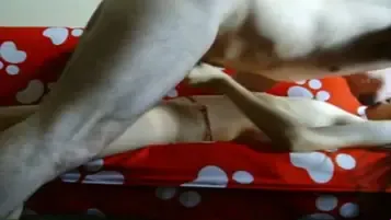 Live ABG Bispak Jakarta Hotel Bintang Lima Skandal Viral Indo Streaming